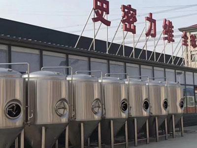 泸州精酿啤酒设备厂—如何判断精酿啤酒设备的密封件需要更换？